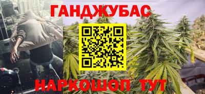 сатива Коммунар
