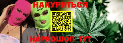 сатива Коммунар