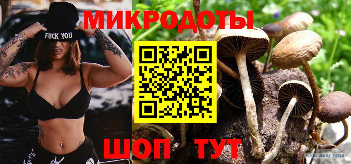 Псилоцибиновые грибы мухоморы Стрежевой